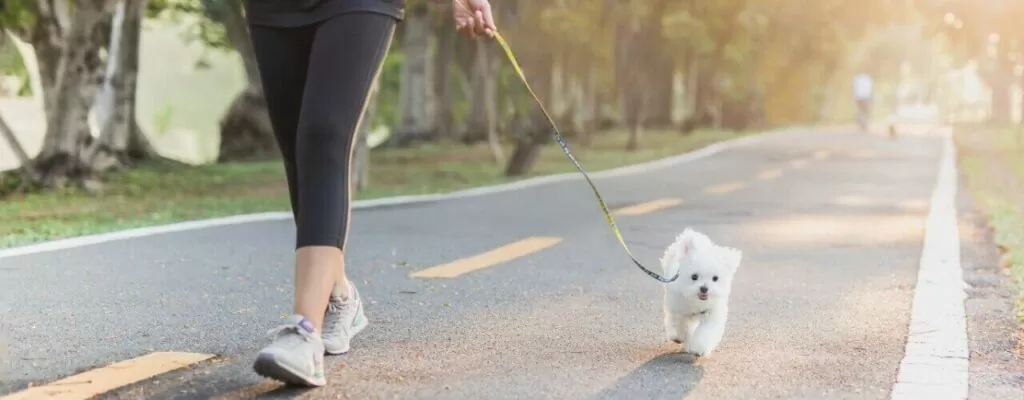 Physical Therapy Treatment